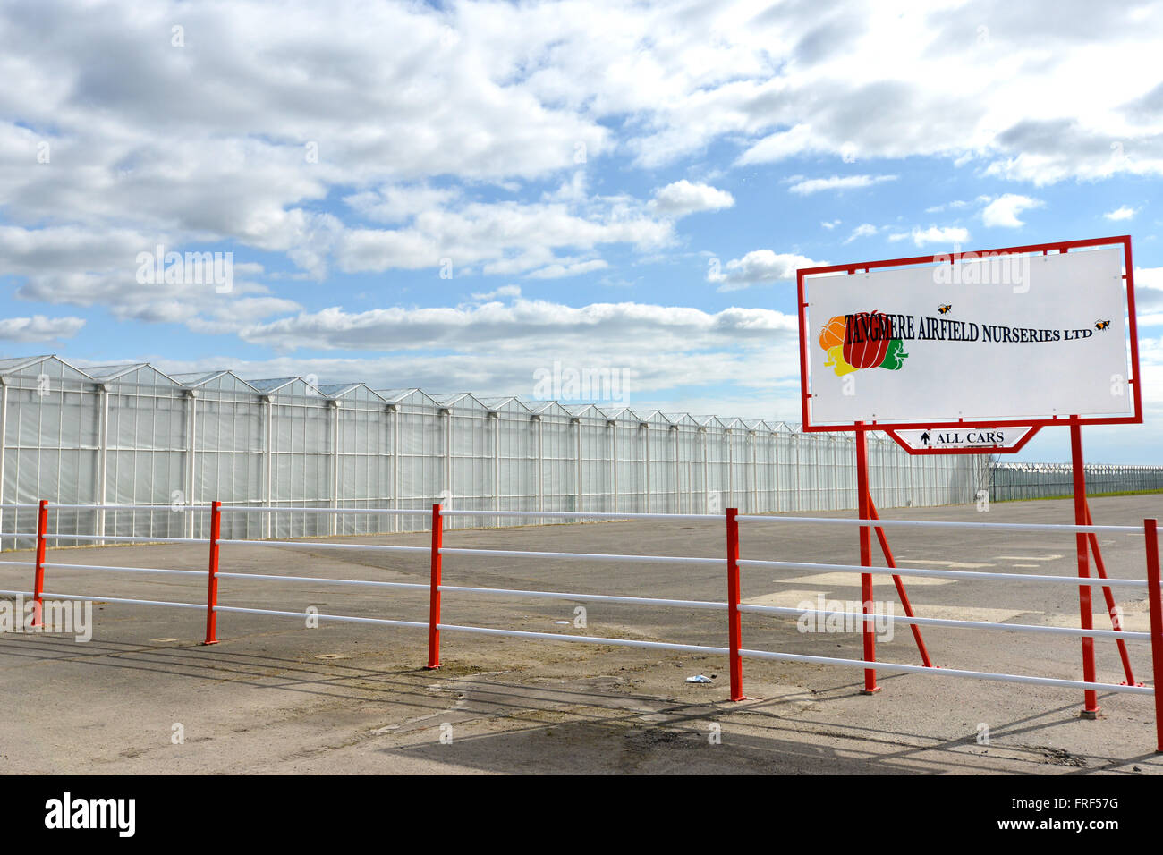 Tangmere Airfield nursery, One of Europe's largest pepper growing