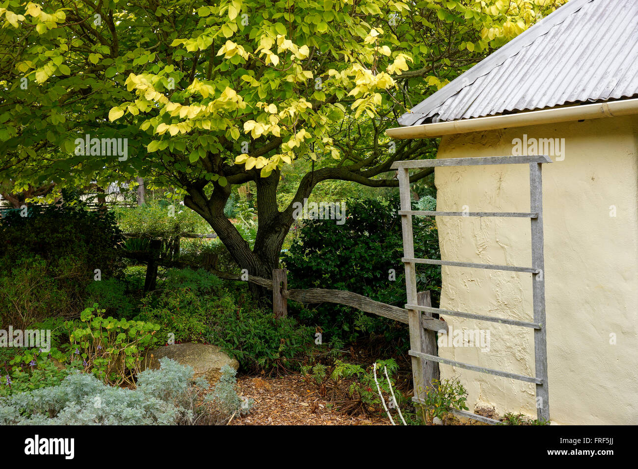 Strawberry Hill Farm Albany Historic Site Western Australia Stock Photo