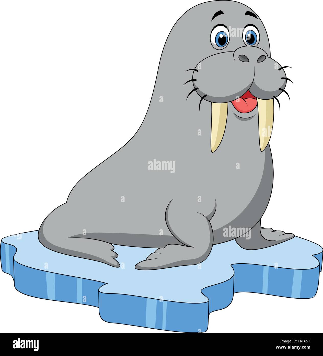 Walrus cartoon on ice Stock Vector Image & Art - Alamy