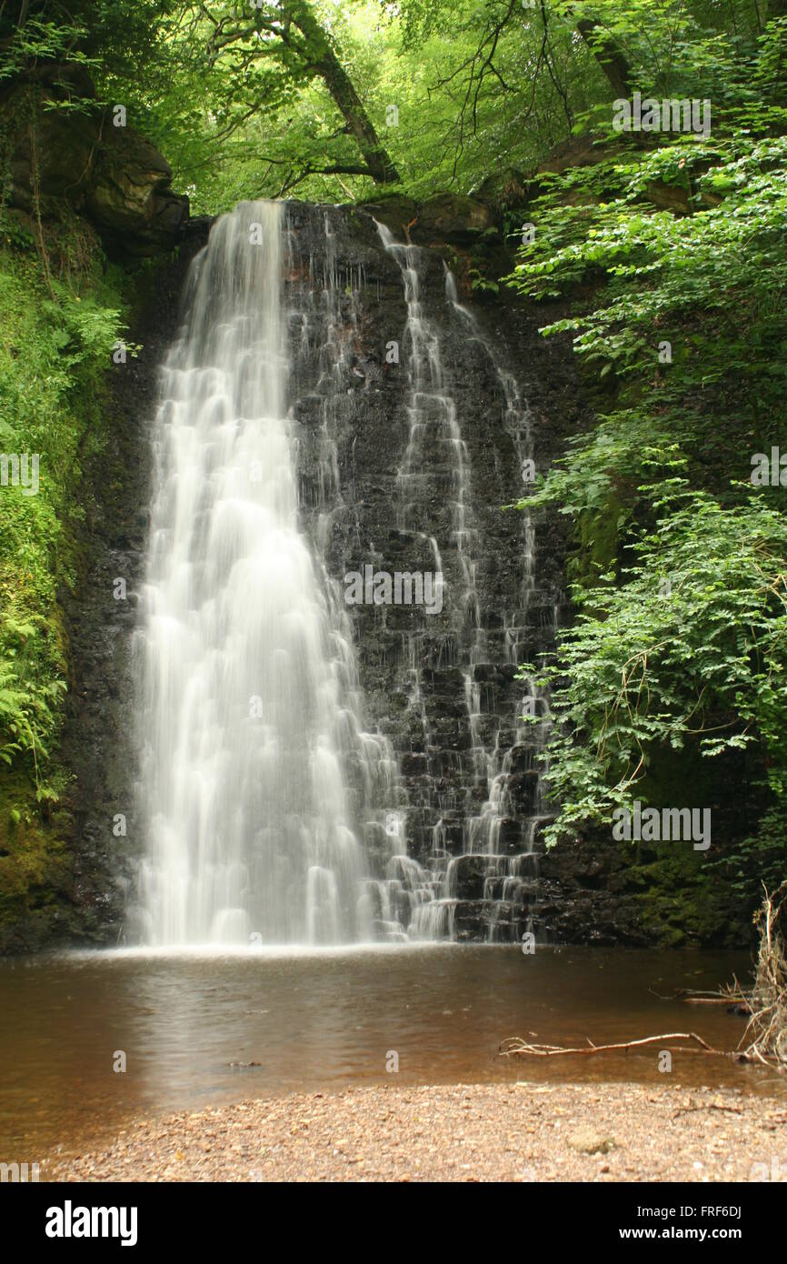 Falling Foss Waterfall North York Moors National Park Stock Photo