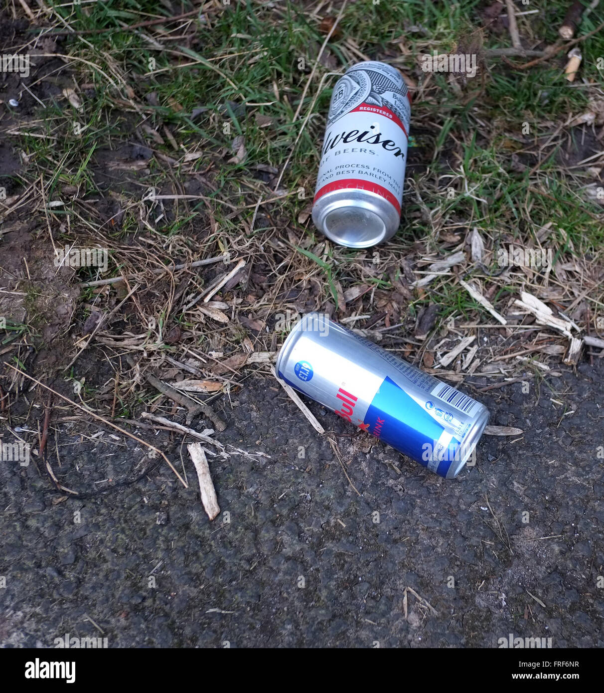 Beer and energy cans left on the roadside by late night custom car gatherings in Cheddar Gorge, Somerset, March 2016 Stock Photo
