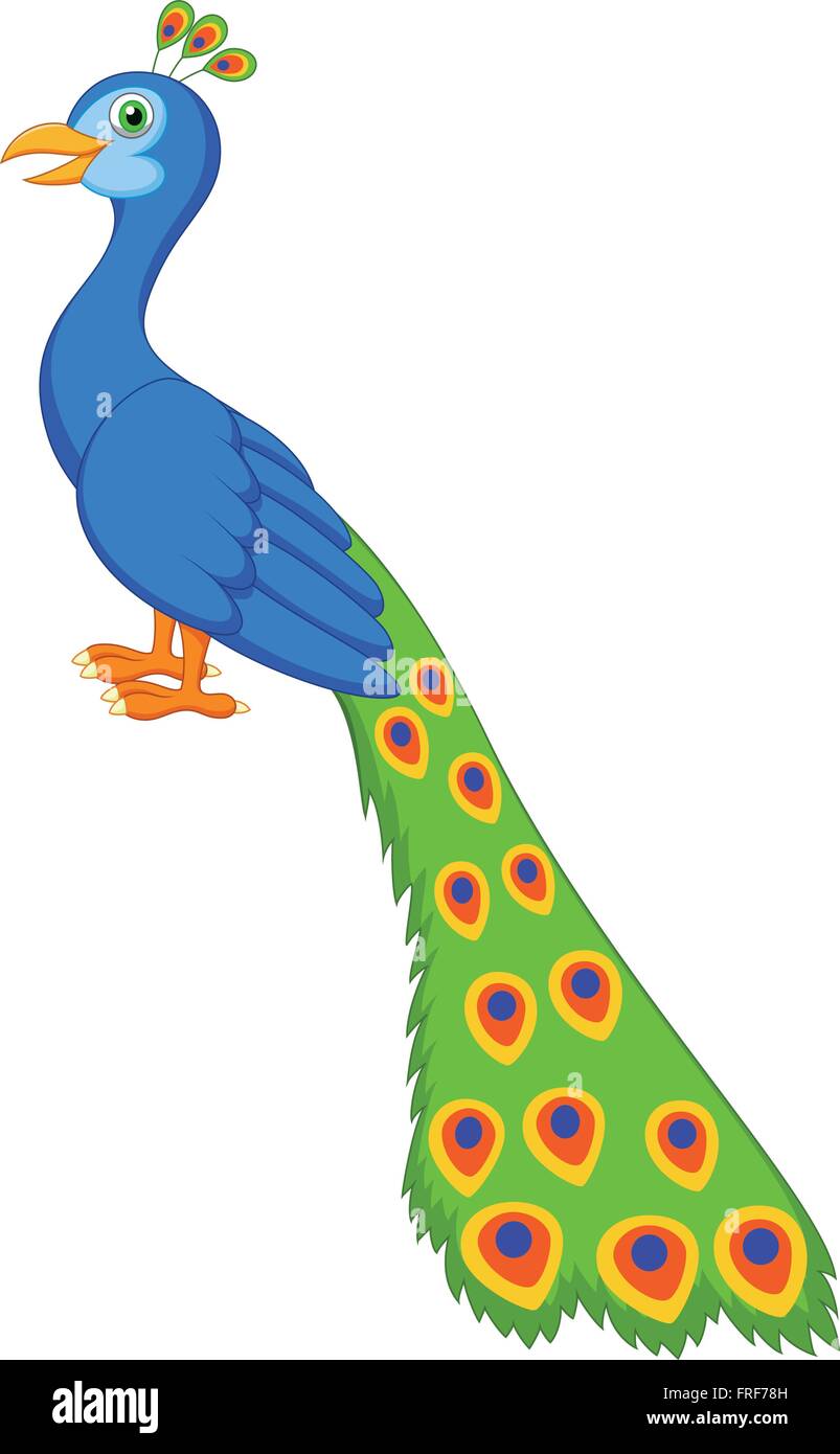 Cute peacock cartoon Stock Vector Image & Art - Alamy Cute peacock cartoon Stock Vector Image & Art - Alamy