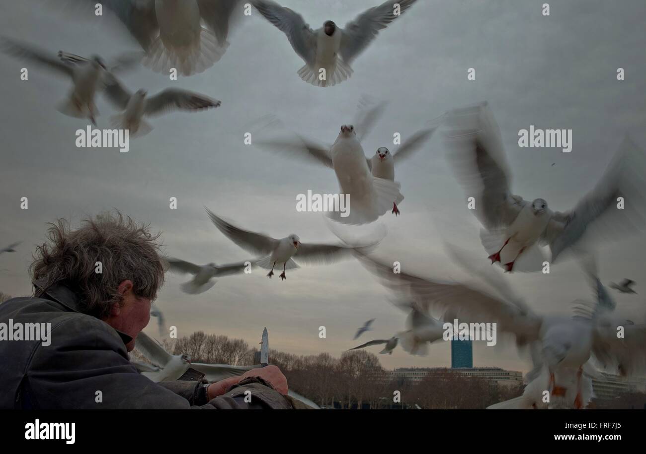 City life -  05/02/2012  -    -  A poor bystander feeds the seagulls bridge of Austerlitz   -  Sylvain Leser / Le Pictorium Stock Photo