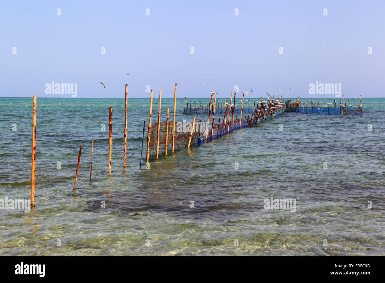 The Hadra: Traditional inter tidal net trap fishing in the Arabian gulf Stock Photo