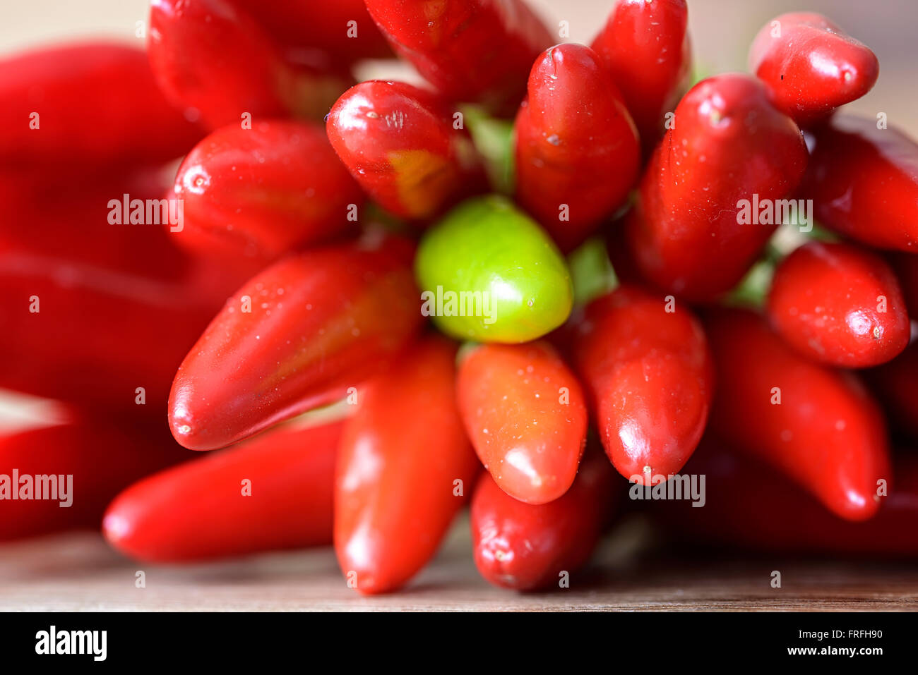 macro red hot chilies and green chilli Stock Photo