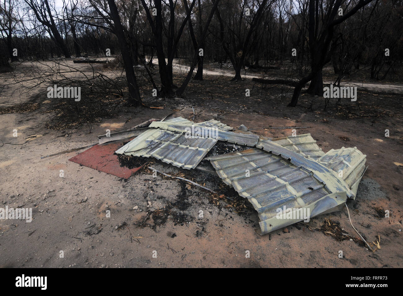 Preston Beach, southwest Western Australia - 22 March 2016 - Remains of a picnic shelter amongst blackened tree trunks. Early signs of regrowth after the devastating January 2016 bushfires are starting to be seen in some of the Australian native forest ecosystems in the region following recent rains. Credit:  Suzanne Long/Alamy Live News Stock Photo