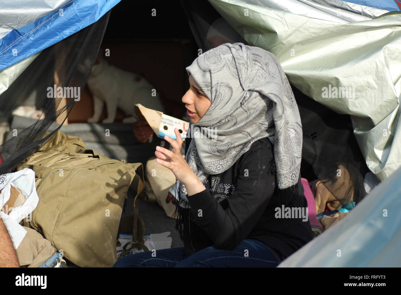 Idomeni, Greece, 22 March 2016. A Syrian woman speaks to the media about Taboush, a family cat travelling from Syria to Europe at a makeshift camp for refugees and migrants at the Greek-Macedonian border, near the village of Idomeni. Credit:  Orhan Tsolak / Alamy Live News Stock Photo