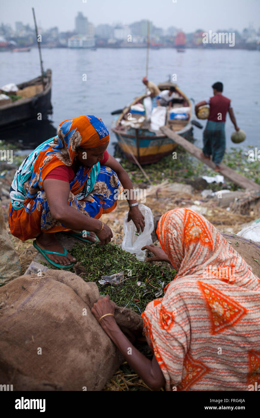 Dhaka, Bangladesh. 21st March, 2016. People collect vegetable from the wholesale market at the bank of river Buriganga in Dhaka, Bangladesh on March 21, 2016. A large swathe of the Buriganga River which is the lifeline of the capital has turned pitch-black with toxic waste, oil and chemicals flowing into it from industrial units.  Buriganga river, which flows by Dhaka is now one of the most polluted and biologically dead rivers in Bangladesh. Credit:  zakir hossain chowdhury zakir/Alamy Live News Stock Photo