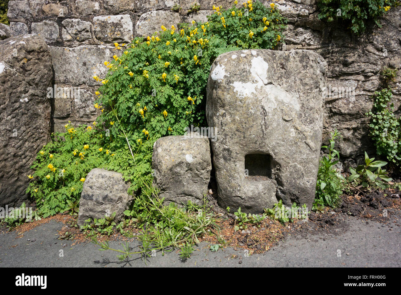 The stepped mounting block erected many years ago for horse riders. This one is in the village