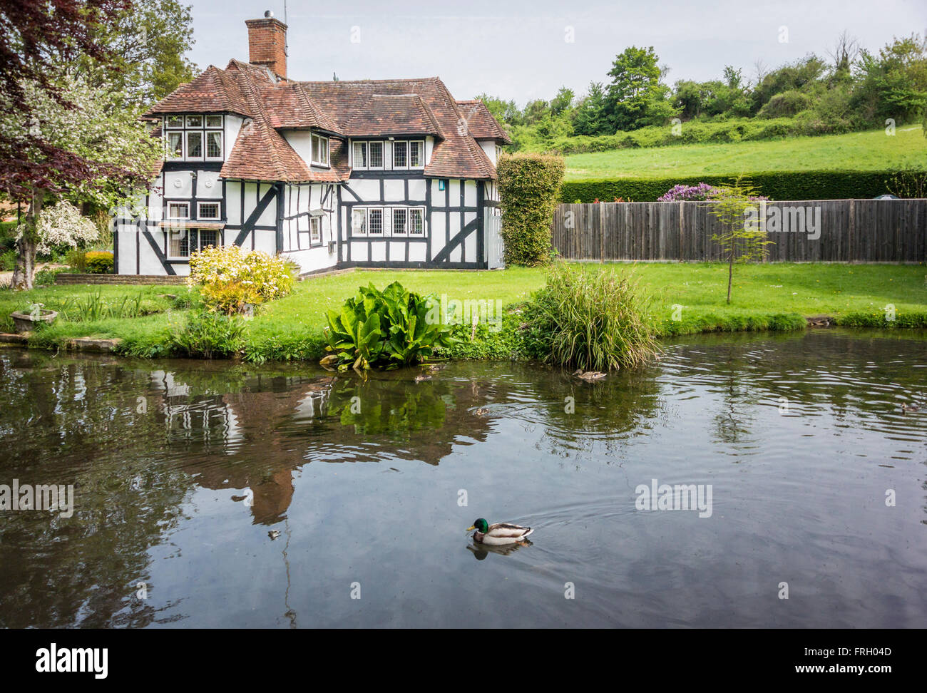 Pretty half timbered cottage in the village of Loose, Kent, UK with the Loose river in the foreground Stock Photo