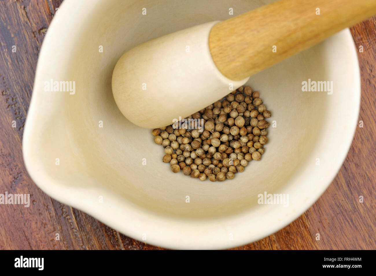 Pestle and mortar with Coriander seeds, coriandrum sativum, also called pak chee, cilantro and chinese parsley. Stock Photo