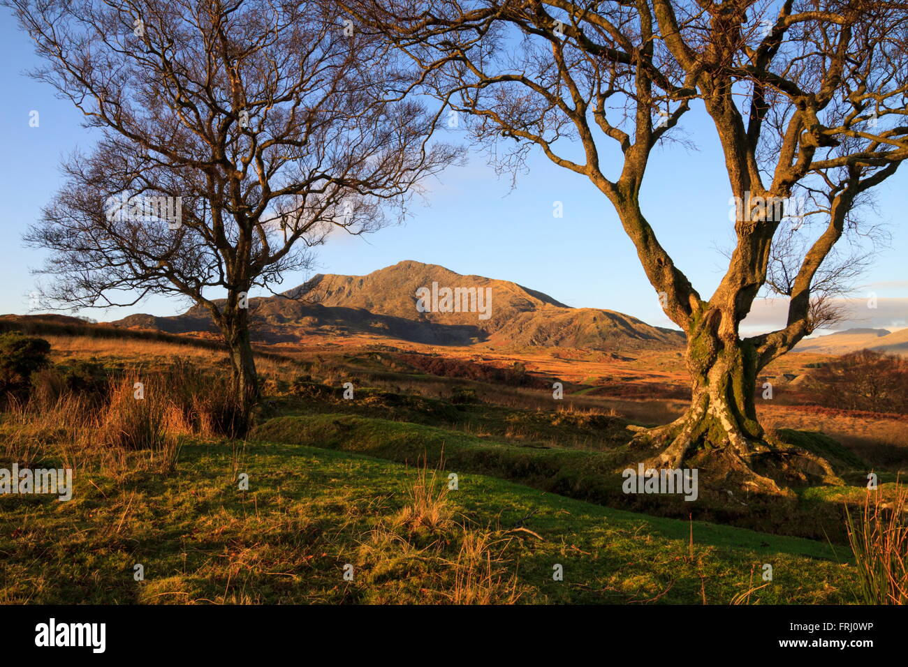 View of Moel Siabod from above Capel Curig Stock Photo