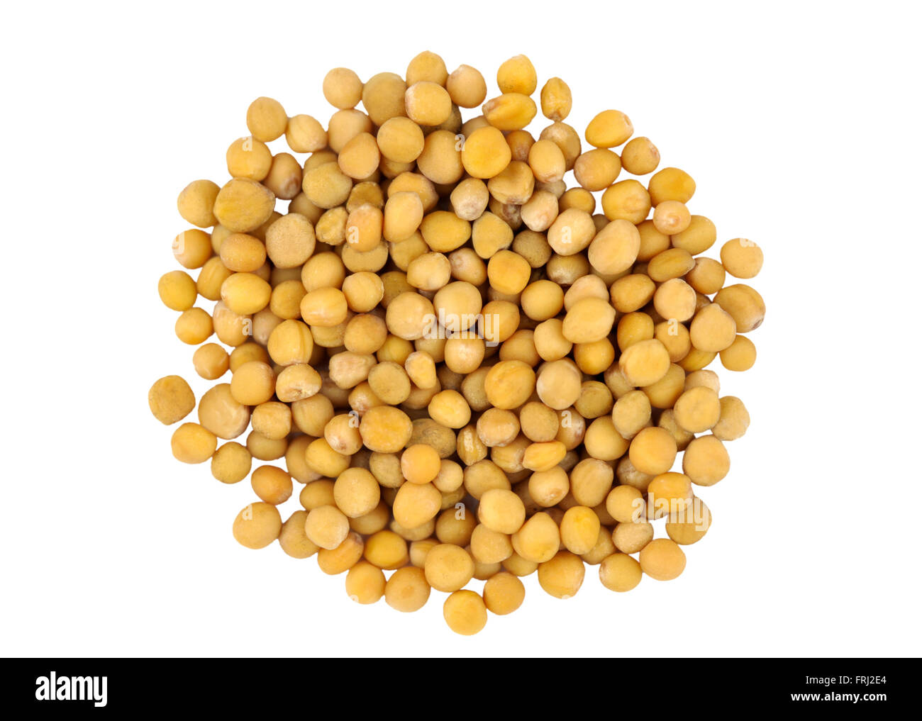 Yellow Mustard seeds also called White Mustard, Sinapis Alba, Brassica