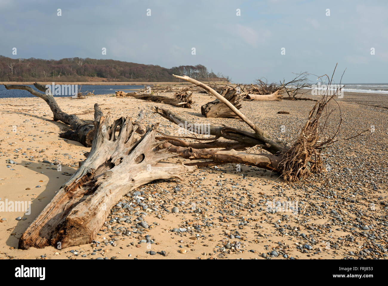 Low level coastal erosion hi-res stock photography and images - Alamy