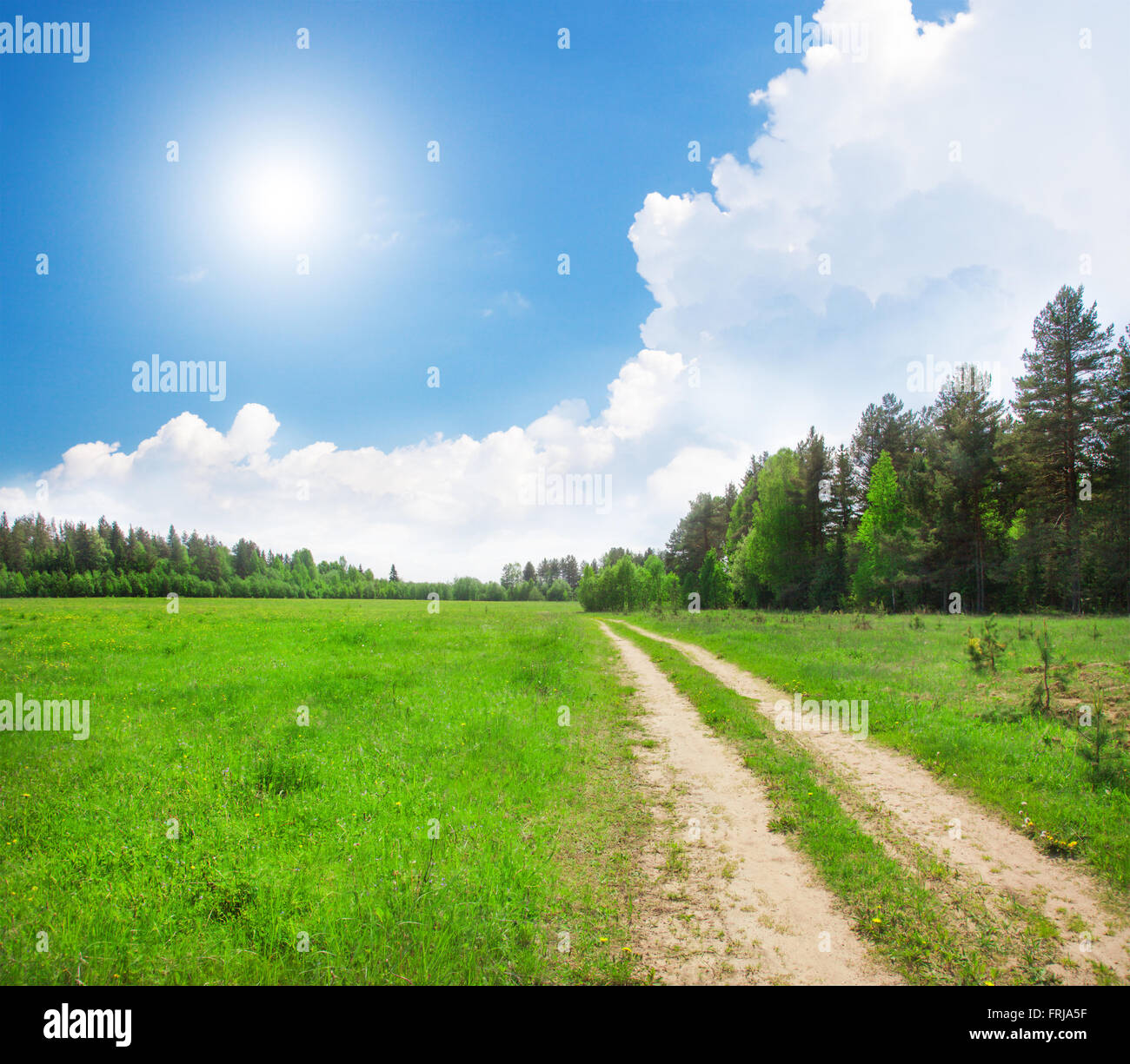 Road in forest and beautiful blue sky with white clouds Stock Photo