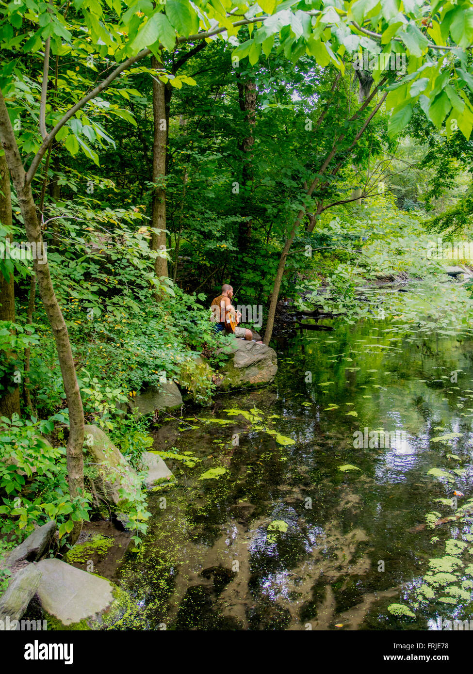 Man playing guitar alongside stream in North Woods, Central Park, New York City, USA. Stock Photo