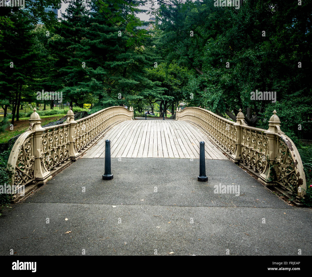 Pine Bank Arch cast-iron bridge, Central Park, West Side at 62nd Street. USA Stock Photo