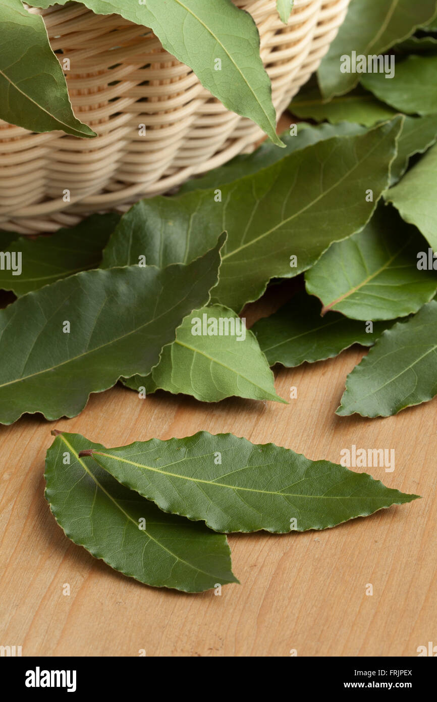 Heap of fresh green bay leaves in a basket Stock Photo