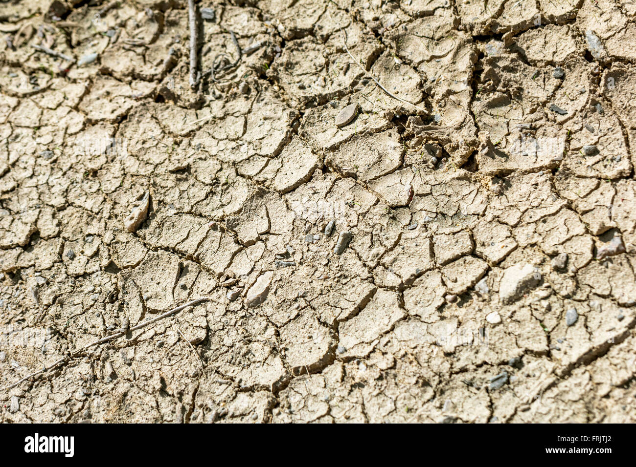 Grey dry cracked earth at sunny rays Stock Photo