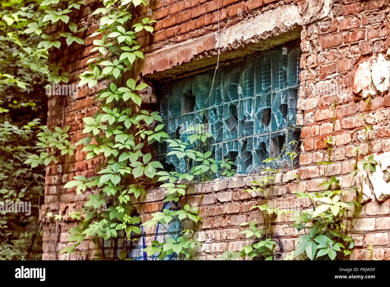 Broken window in abandoned brick building at day Stock Photo - Alamy