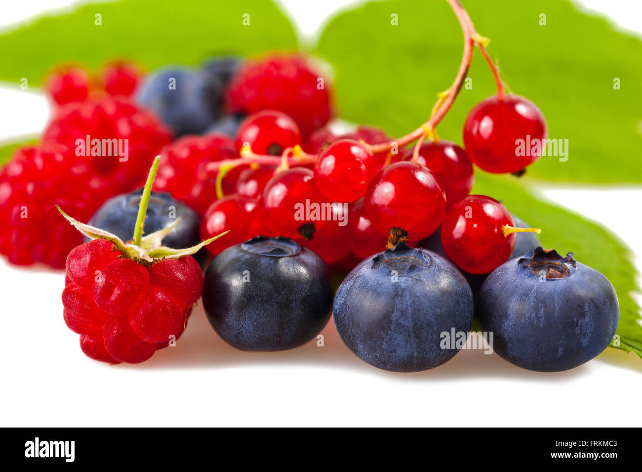 mix of blueberries, raspberries and currants Stock Photo