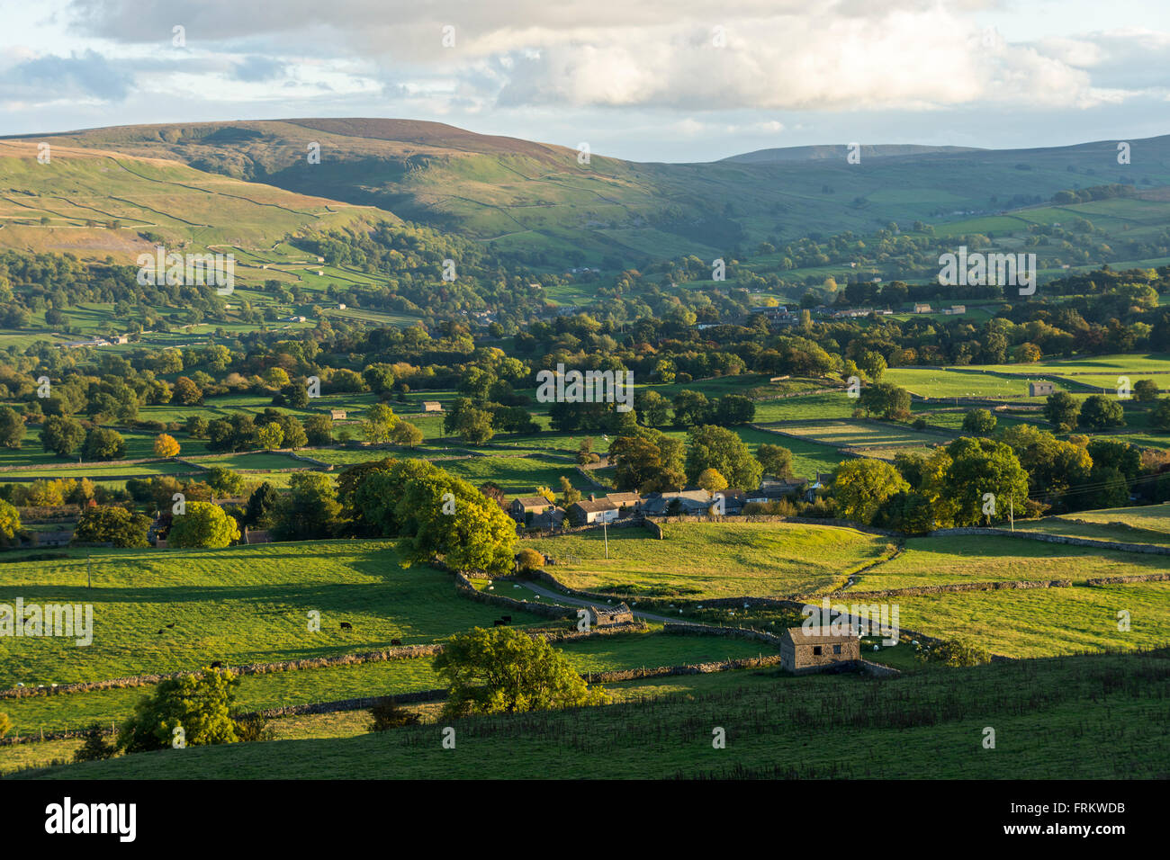 Harland Hill and Bishopdale (off Wensleydale), Yorkshire Dales National Park, England, UK Stock Photo