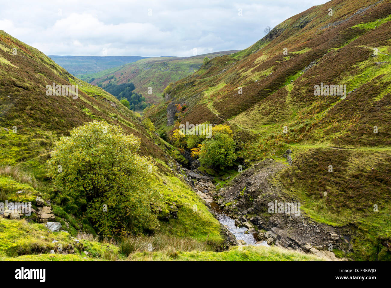 Swinner Gill, near Muker, Swaledale, Yorkshire Dales, England, UK Stock Photo