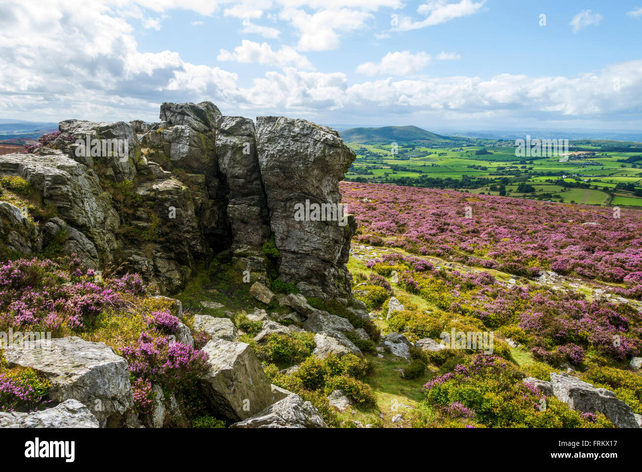 At The Devil S Chair Rocks On The Stiperstones Ridge