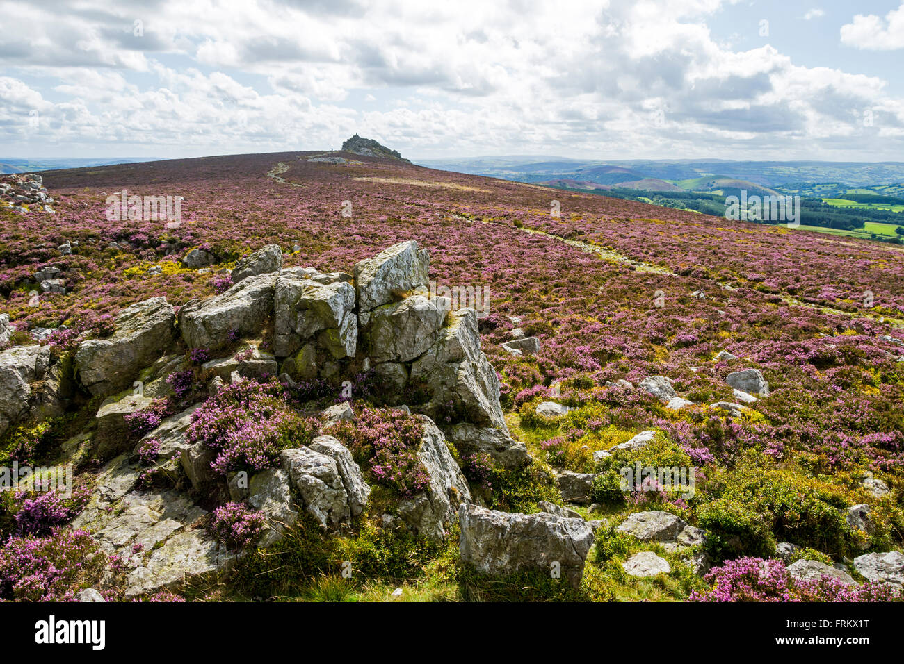 Manstone Rock from the Devil's Chair rocks on the Stiperstones Ridge, Shropshire, England, UK Stock Photo