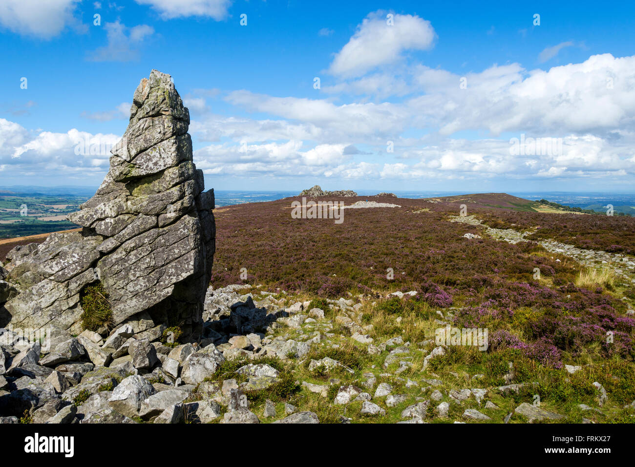 Manstone Rock on the Stiperstones Ridge, Shropshire, England, UK.  Looking towards the Devil's Chair rocks. Stock Photo