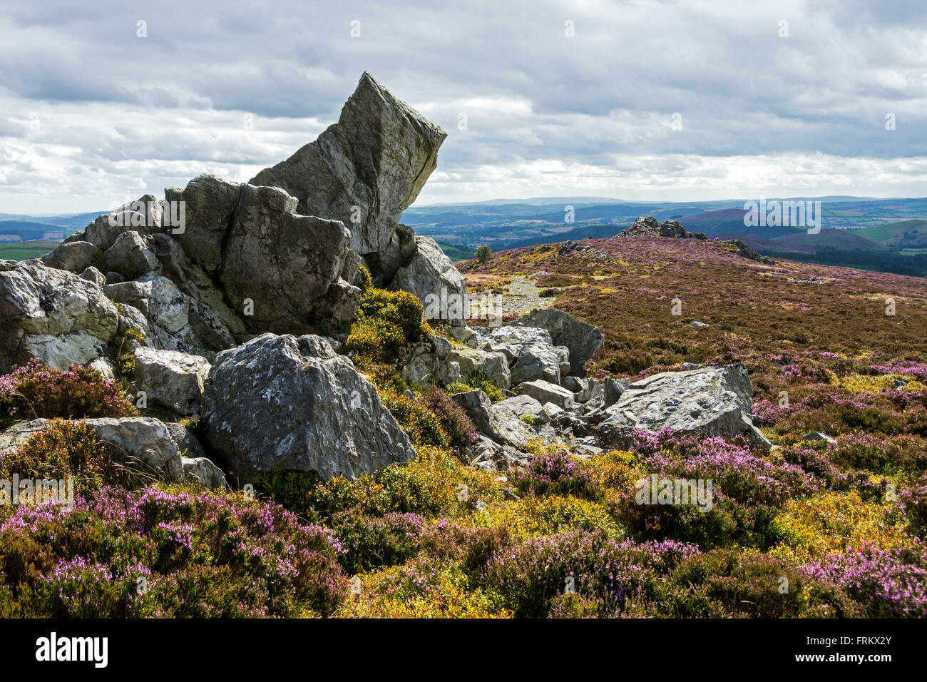 Cranberry Rock (in the middle distance on right) from near Manstone Rock on the Stiperstones Ridge, Shropshire, England, UK. Stock Photo