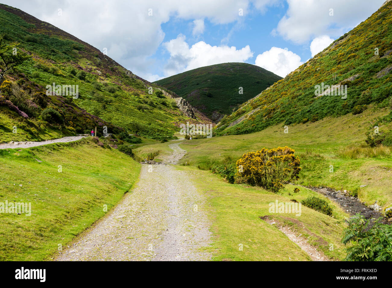 In the Carding Mill Valley, on the Long Mynd ridge, near Church ...