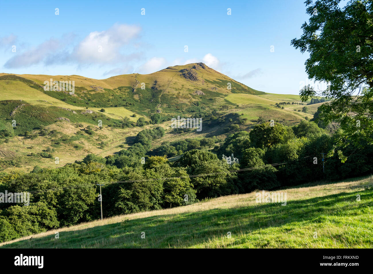 Caer Caradoc Hill in the Stretton hills, from near Cwms, Church Stretton, Shropshire, England, UK Stock Photo