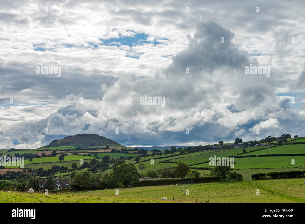 Caer Caradoc Hill from near the village of Cardington, near Church Stretton, Shropshire, England, UK. Stock Photo