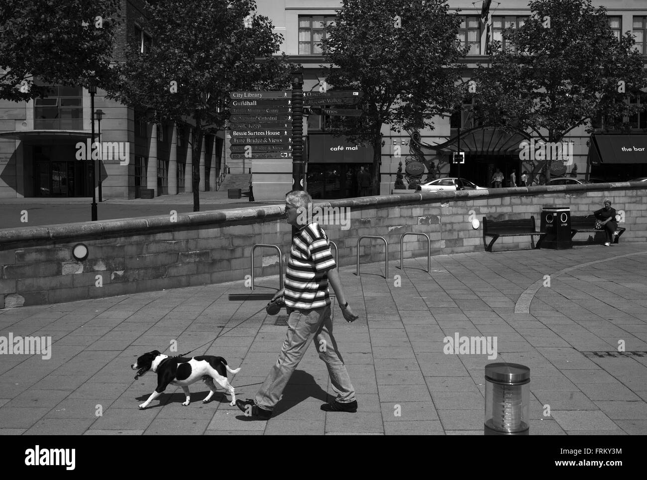 Walking the dog along the quayside, Newcastle Gateshead Stock Photo