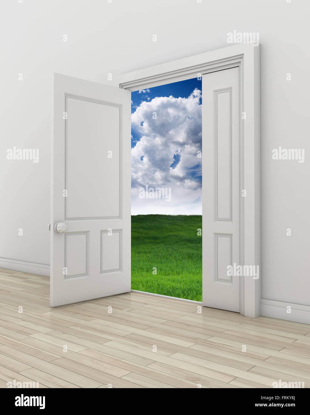 Open the door , This is a computer generated and 3d rendered image. Stock Photo