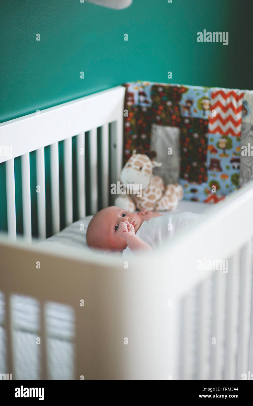 looking for baby cribs