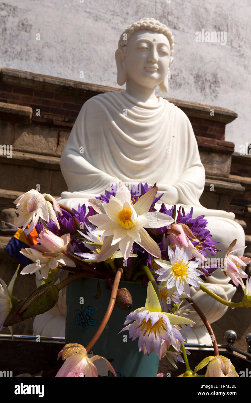 Sri Lanka, Anuradhapura, Mirisaveti, Mirisavetiya, dagoba, lotus flowers left as offerings Stock Photo