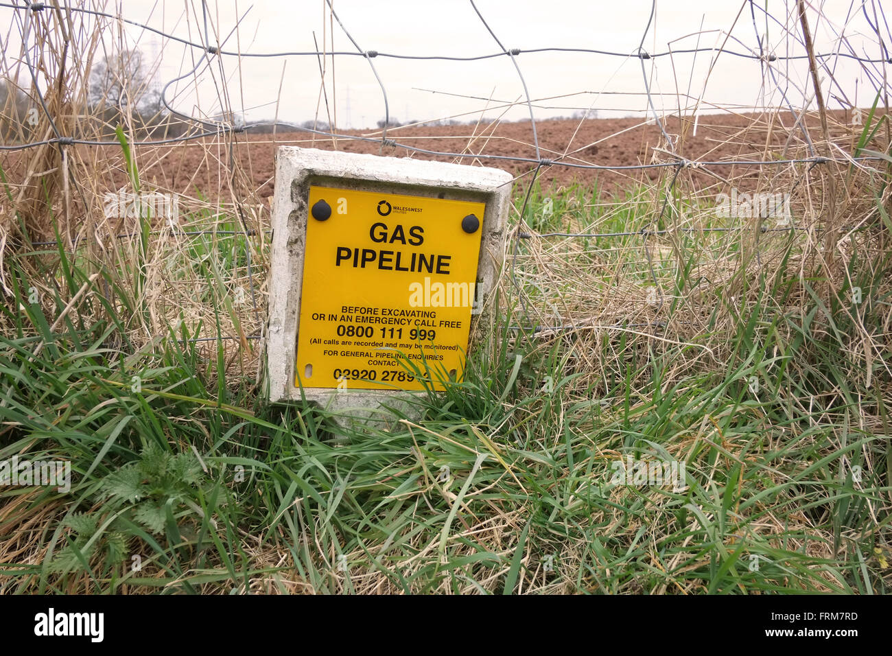 Gas pipeline marker posts beside a country lane in South