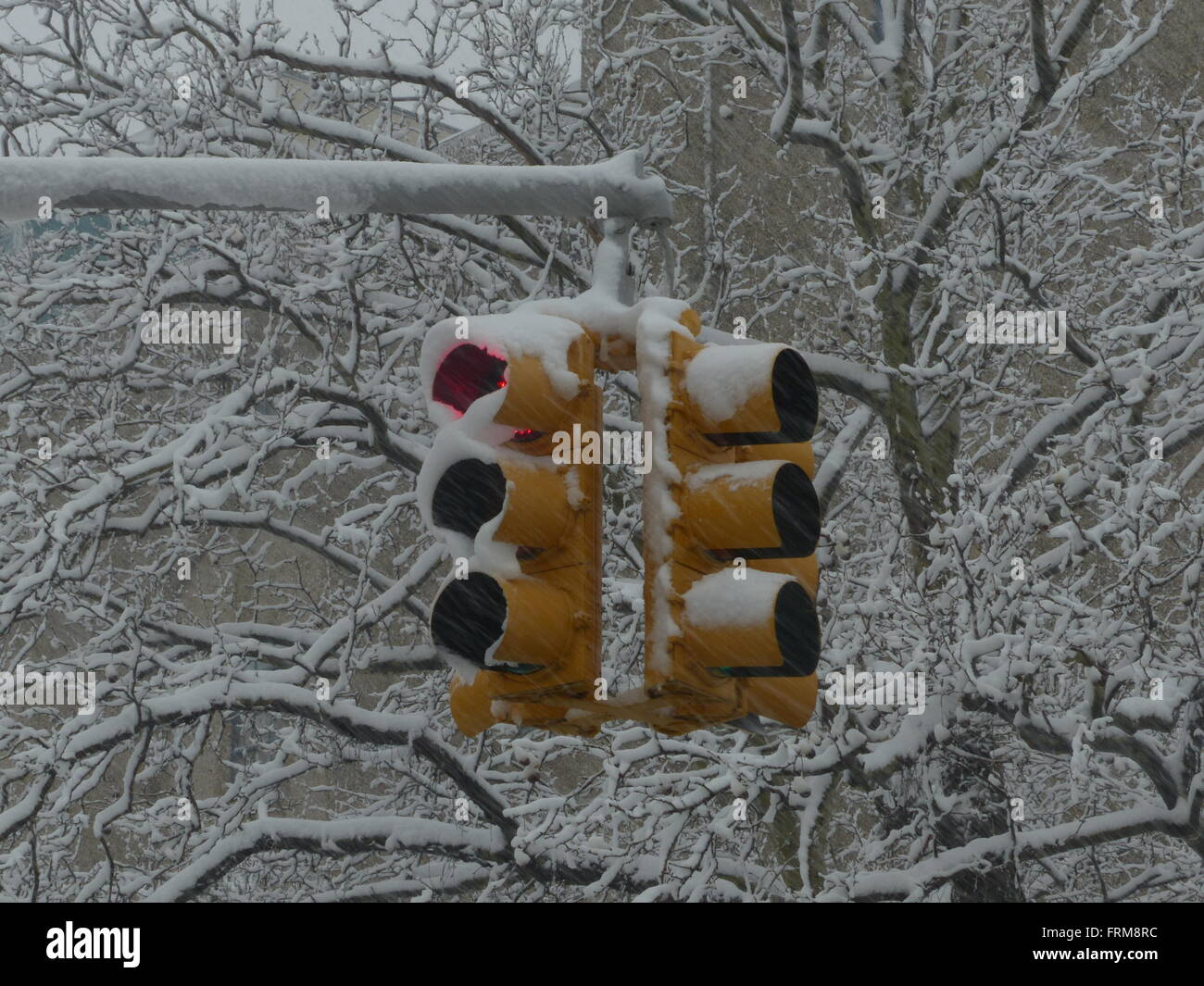 Traffic light covered by snow Stock Photo - Alamy