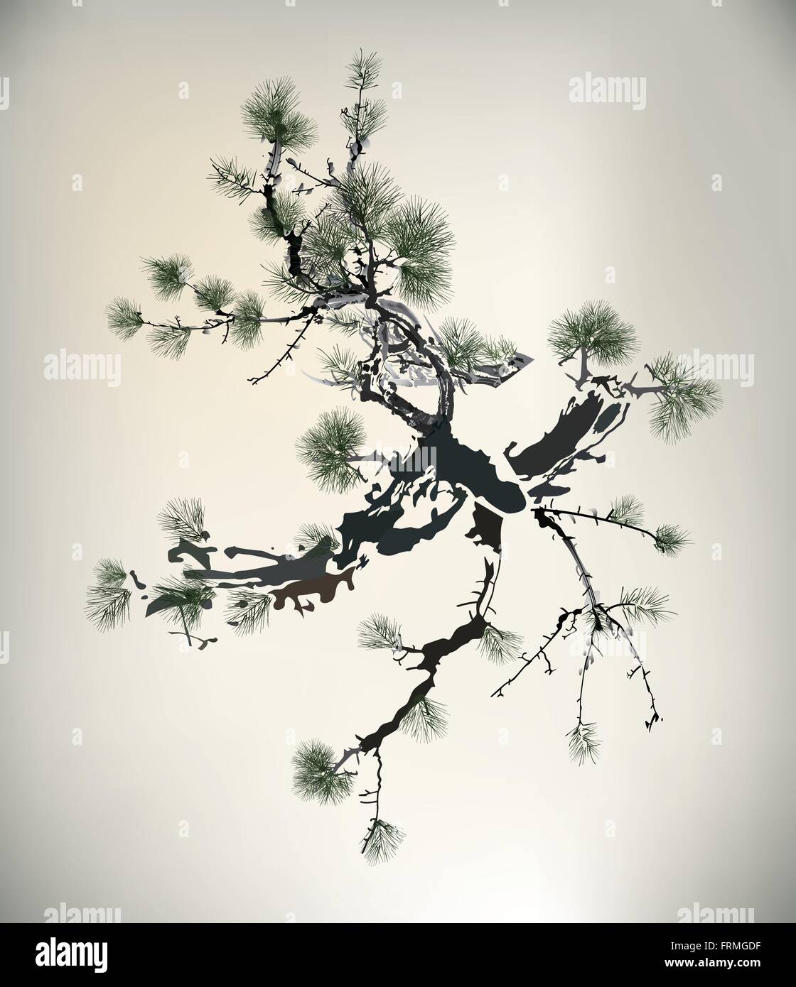 Japanese pine tree branch hires stock photography and images Alamy