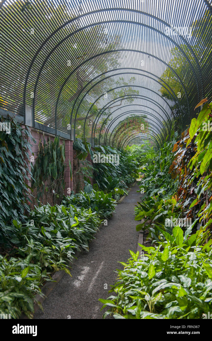 Botanical Garden At Puerto De La Cruz Stock Photos Botanical