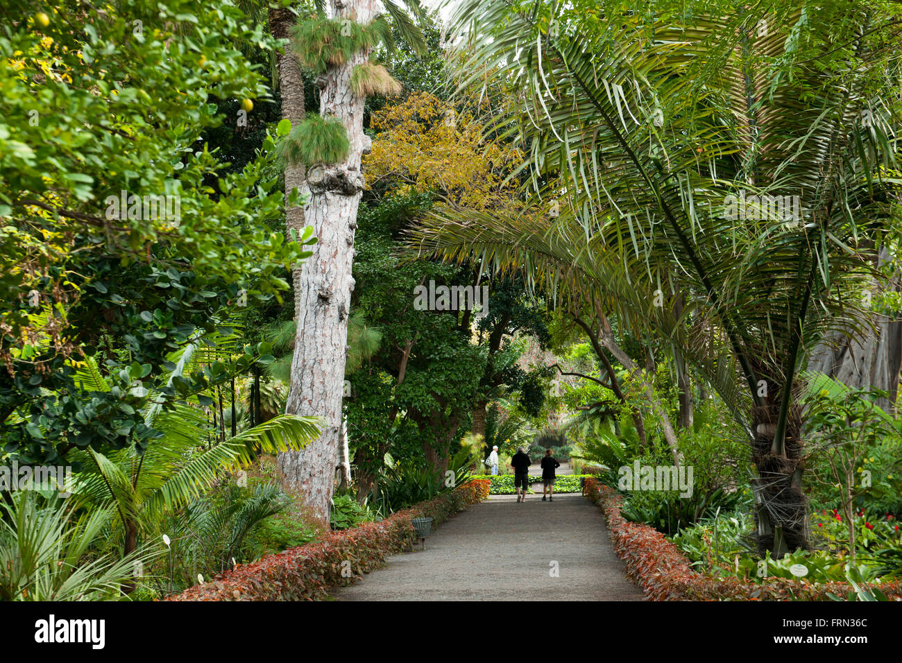 Botanical Garden At Puerto De La Cruz Stock Photos Botanical
