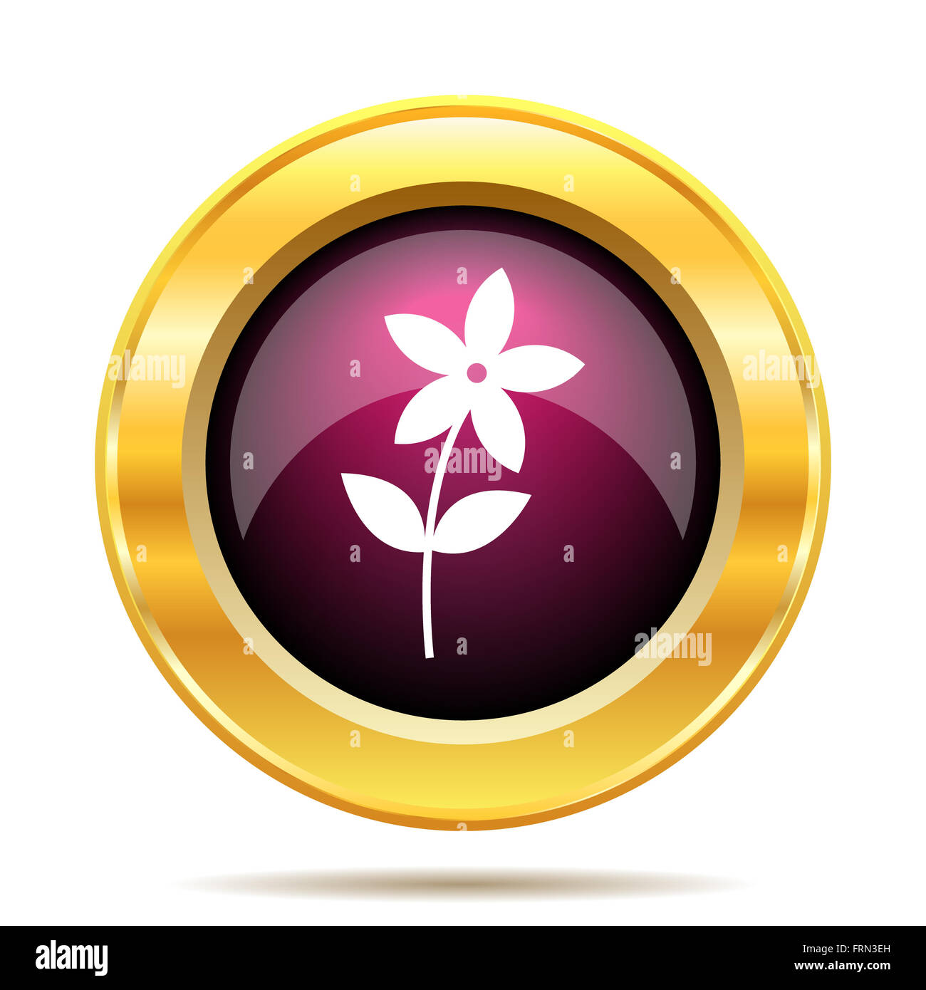 Flower icon icon. Internet button on white background Stock Photo - Alamy