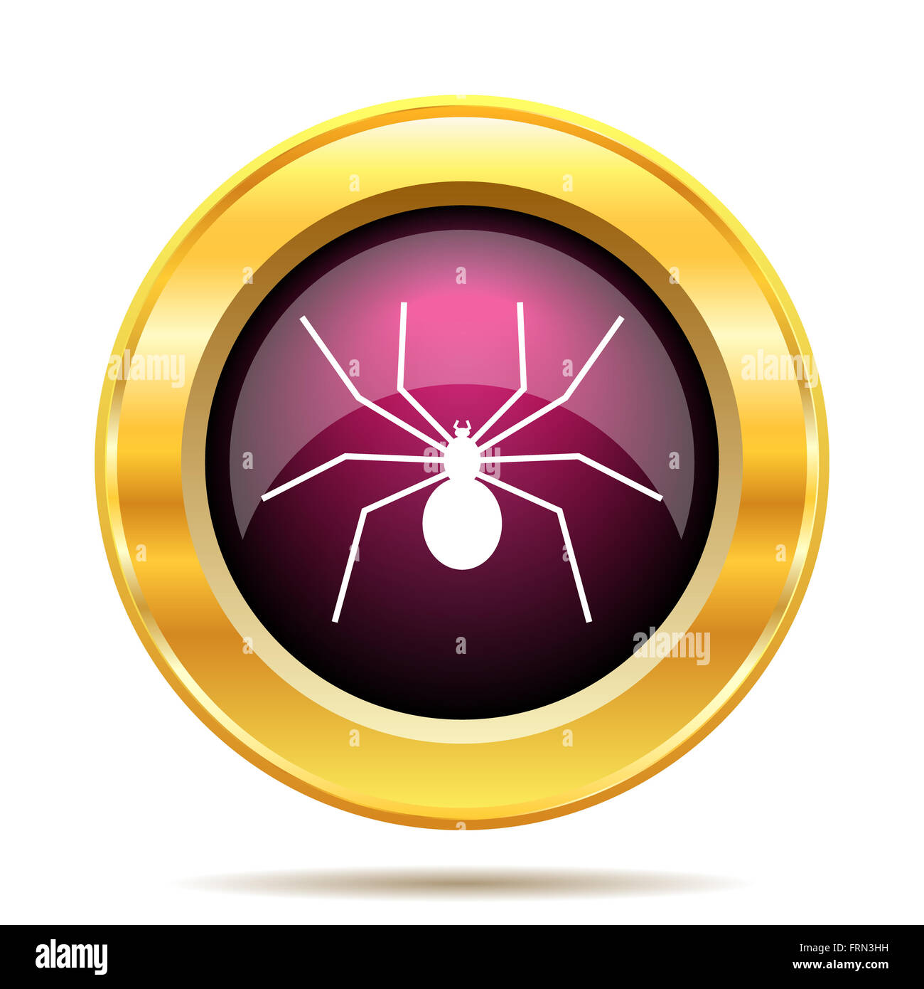 Spider icon. Internet button on white background Stock Photo - Alamy