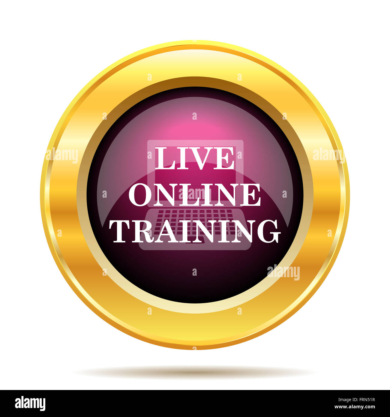 Live online training icon. Internet button on white background Stock ...