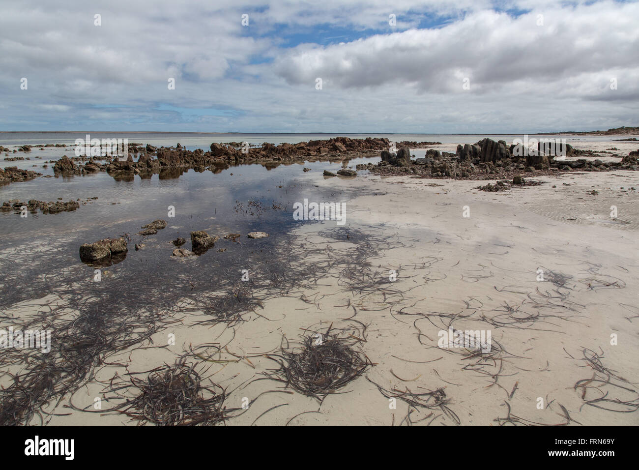 seaweed and lines of rocks in shallow water of sandy beach Stock Photo