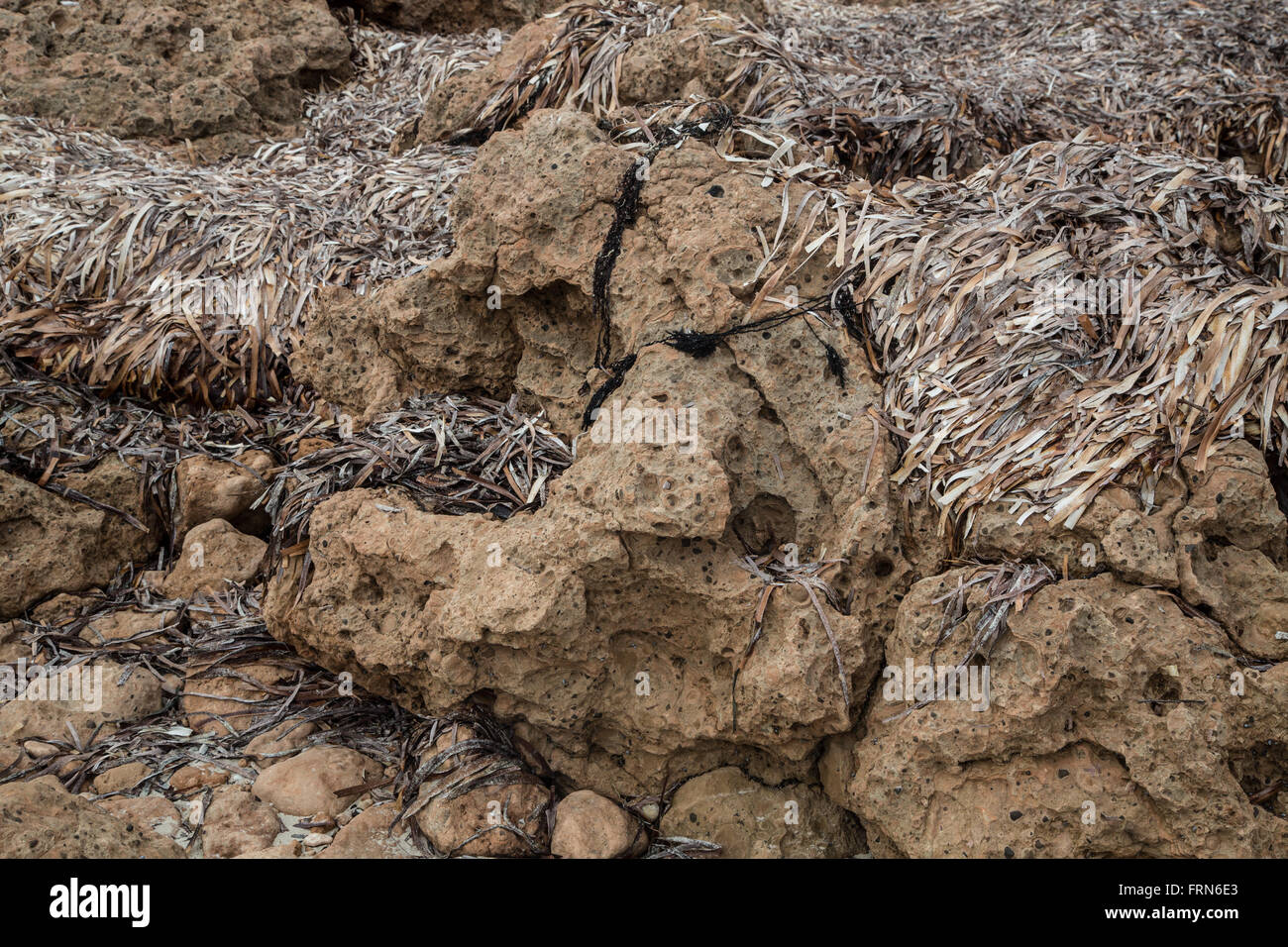 volcanic rocks and dry seaweed on beach, close-up Stock Photo