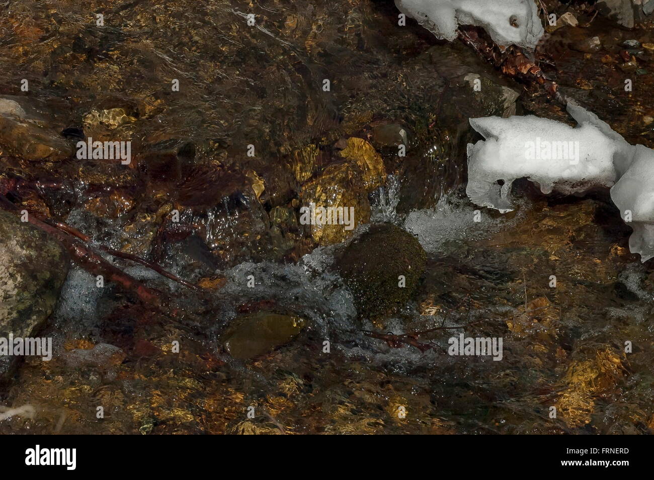 Melt snow hi-res stock photography and images - Alamy