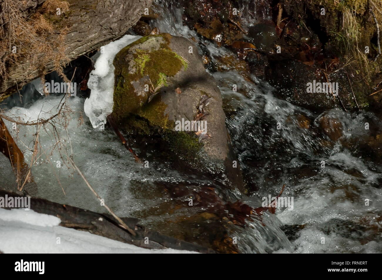 Melt snow hi-res stock photography and images - Alamy